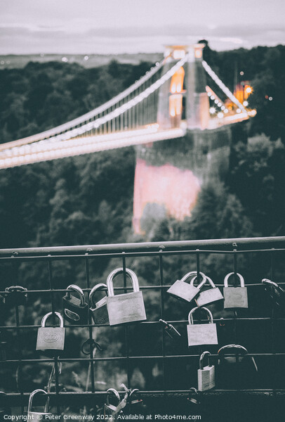 Padlocks On Railings Overlooking Clifton Suspension Bridge, Avon Picture Board by Peter Greenway