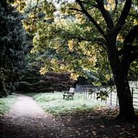 Buy canvas prints of Wooden Bench Seat Amongst Autumnal Leaves On The Trees At Batsfo by Peter Greenway