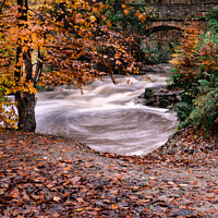 Buy canvas prints of The May Beck River In The North Yorkshire Moor In Autumn by Peter Greenway