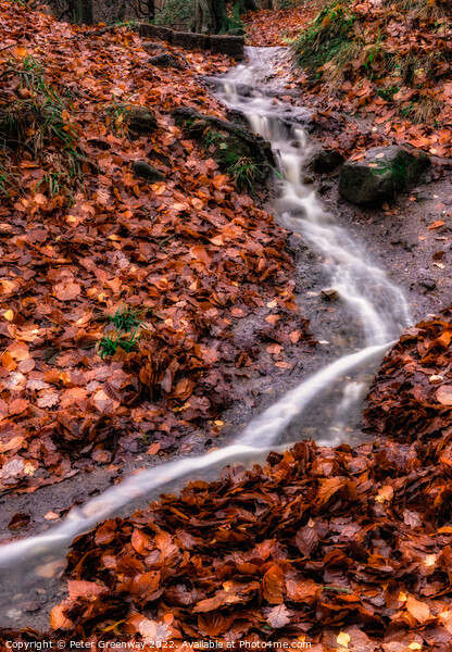 A Little Waterfall On The May Beck River In The North Yorkshire Moor In Autumn Picture Board by Peter Greenway