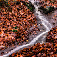 Buy canvas prints of A Little Waterfall On The May Beck River In The North Yorkshire Moor In Autumn by Peter Greenway