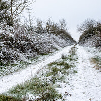 Buy canvas prints of Frozen Tracks Up A Lane In The Oxfordshire Countryside by Peter Greenway