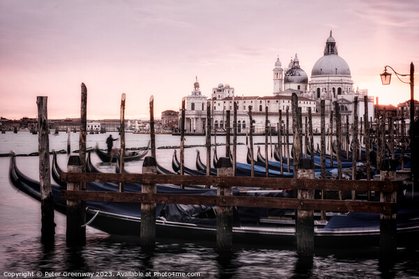 Moored Gondolas At St Marks Square In Venice At Sunset Picture Board by Peter Greenway
