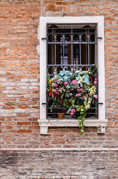 Flowers In A Window Overlooking One The Back Stree Picture Board by Peter Greenway