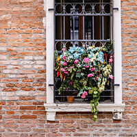 Buy canvas prints of Flowers In A Window Overlooking One The Back Stree by Peter Greenway