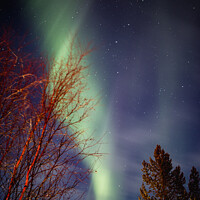 Buy canvas prints of Aurora Borealis ( The Northern Lights ) In Winter Around Utsjoki by Peter Greenway