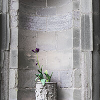 Buy canvas prints of A Purple Plant In A Planter In A Recessed In A Sta by Peter Greenway