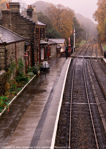 Goathland Period Railway Station On The North York Picture Board by Peter Greenway