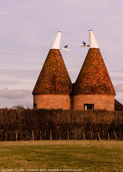Traditional Oast Houses In Kent Picture Board by Peter Greenway