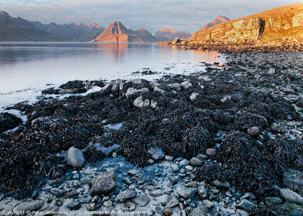 Elgol Beach On The Isle Of Skye, Scotland At Sunset Picture Board by Peter Greenway