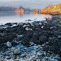 Buy canvas prints of Elgol Beach On The Isle Of Skye, Scotland At Sunset by Peter Greenway
