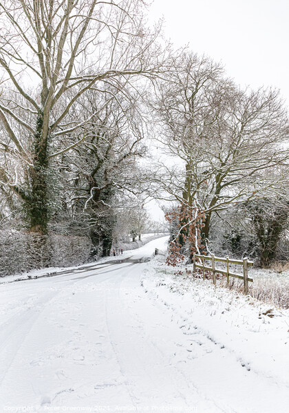 Snowy Rural Landscape Around Chetwode In Buckingha Picture Board by Peter Greenway