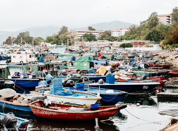Fishing Boats Moored At Chung Chau Island, Hong Kong  Picture Board by Peter Greenway