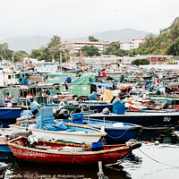 Buy canvas prints of Fishing Boats Moored At Chung Chau Island, Hong Kong  by Peter Greenway