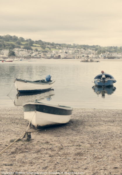 Boats Beached At Low Tide On Teignmouth 'Back Beac Picture Board by Peter Greenway