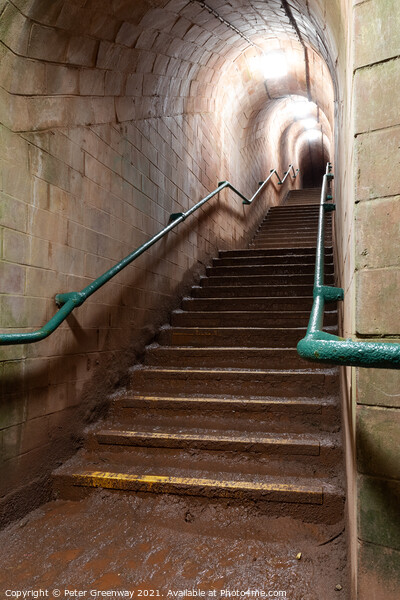 Steps In The Smugglers Tunnel, Shaldon, Devon Picture Board by Peter Greenway
