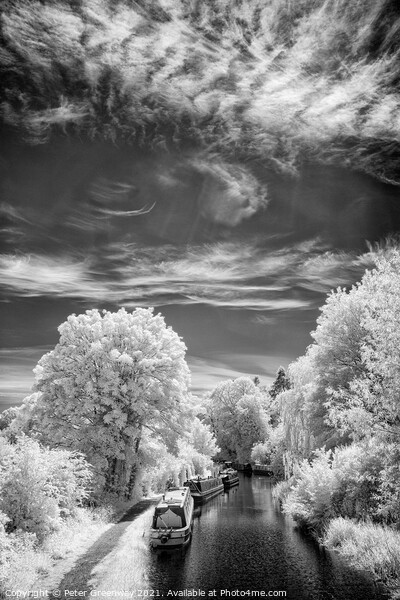 The Canal At Shipton-on-Cherwell In Infrared Picture Board by Peter Greenway