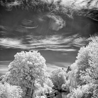 Buy canvas prints of The Canal At Shipton-on-Cherwell In Infrared by Peter Greenway