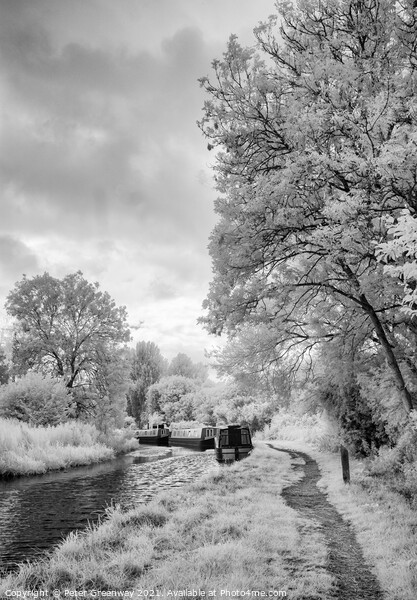 Boats Moored On The Oxford Canal At Lower Heyford  Picture Board by Peter Greenway