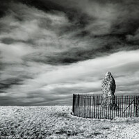 Buy canvas prints of The 'Kings Stone' Part Of The Rollright Stones In  by Peter Greenway