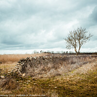 Buy canvas prints of Fallen Down Wall In The Rural Oxfordshire Countrys by Peter Greenway