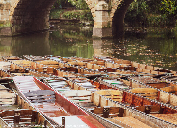 Moored Punts At 'The Head of the River', Oxford Picture Board by Peter Greenway