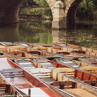 Buy canvas prints of Moored Punts At 'The Head of the River', Oxford by Peter Greenway