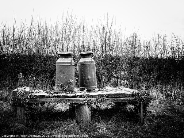 Rusted Vintage Milk Churns On A Wooden Platform Picture Board by Peter Greenway