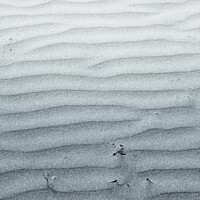 Buy canvas prints of Wind Blown Ripples In The Sand by Peter Greenway