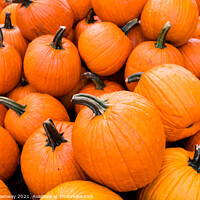 Buy canvas prints of Piles Of Halloween Pumpkins In Tennessee by Peter Greenway