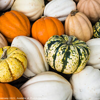 Buy canvas prints of Colourful Gourds & Pumpkins On Sale In An Amish Store In Tennessee by Peter Greenway