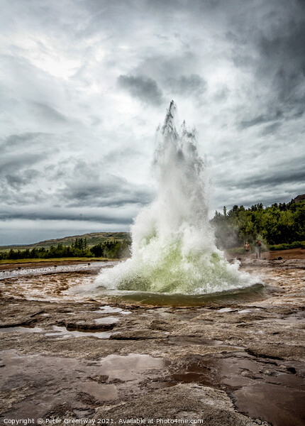 The Great Geyser At Iceland Errupting Picture Board by Peter Greenway