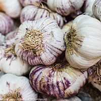 Buy canvas prints of Boxes Of Fresh Garlic On Sale At Borough Market, London by Peter Greenway