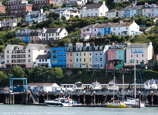 Colourful Houses Around Dartmouth Harbour Picture Board by Peter Greenway