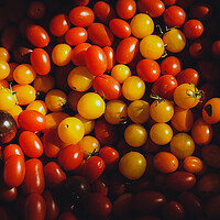 Buy canvas prints of Texture of many cherry tomatoes by Sol Cantero
