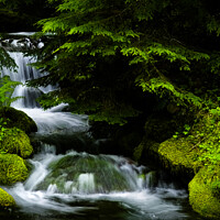 Buy canvas prints of Small waterfall in the forest by Chuck Koonce