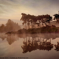 Buy canvas prints of Early Morning on Knapps Loch , Kilmalcolm by campbell skinner