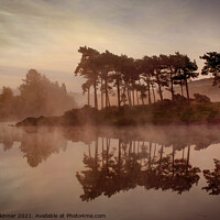 Buy canvas prints of Early Morn on the Lochan, Knapps Loch, Kilmalcolm, Scotland by campbell skinner