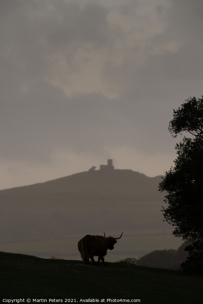 Majestic Highland Cow and Brentor Church Picture Board by Martin Yiannoullou
