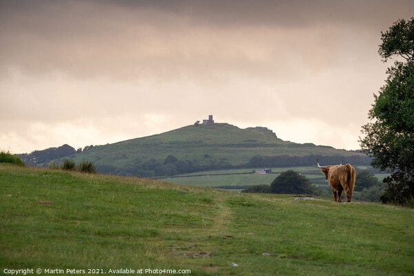 Serene Highland Cow at Brentor Church Picture Board by Martin Yiannoullou