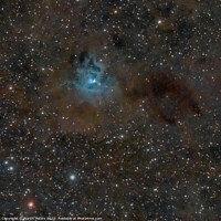 Buy canvas prints of The Iris Nebula  by Martin Yiannoullou