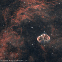 Buy canvas prints of Crescent Nebula  by Martin Yiannoullou