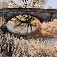 Buy canvas prints of Bridge over the river Dane by mike kearns