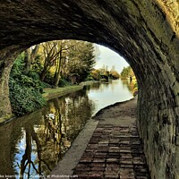 Buy canvas prints of Under the canal bridge by mike kearns