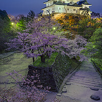 Buy canvas prints of Evening view of Wakayama castle in cherry-blossom sakura season in Japan by Mirko Kuzmanovic