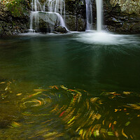 Buy canvas prints of Waterfall cascades at Mt. Inunaki in Izumisano, Japan by Mirko Kuzmanovic