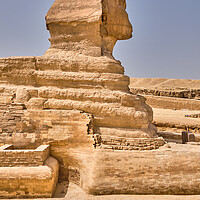 Buy canvas prints of Great Sphinx of Giza on the Giza Plateau in Cairo, Egypt by Mirko Kuzmanovic