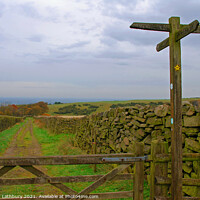 Buy canvas prints of Bridleway Cross-Roads in the Lake District by Graham Lathbury