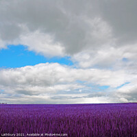 Buy canvas prints of Cotswolds Field by Graham Lathbury