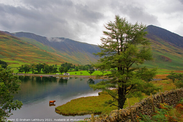 Buttermere Lake Picture Board by Graham Lathbury